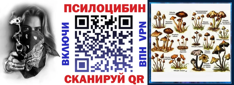 Псилоцибиновые грибы ЛСД  Онега 
